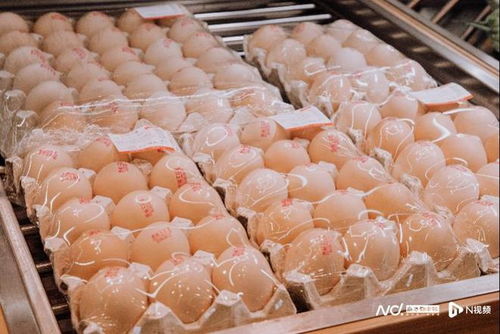 全國基地直采助力 百千萬工程 錢大媽帶動農產品出山入灣