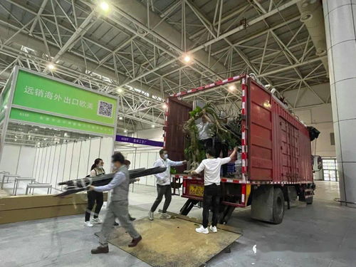 播種春天——第56屆全國工藝品交易會展前沖刺紀(jì)實(shí)