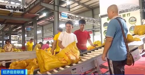 黃金果上市季 單店日銷破十萬，全國電石產(chǎn)業(yè)再引關(guān)注