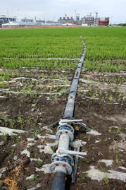 天業大力使用低汞觸媒，敢當中國氯堿行業無汞化的探路先鋒